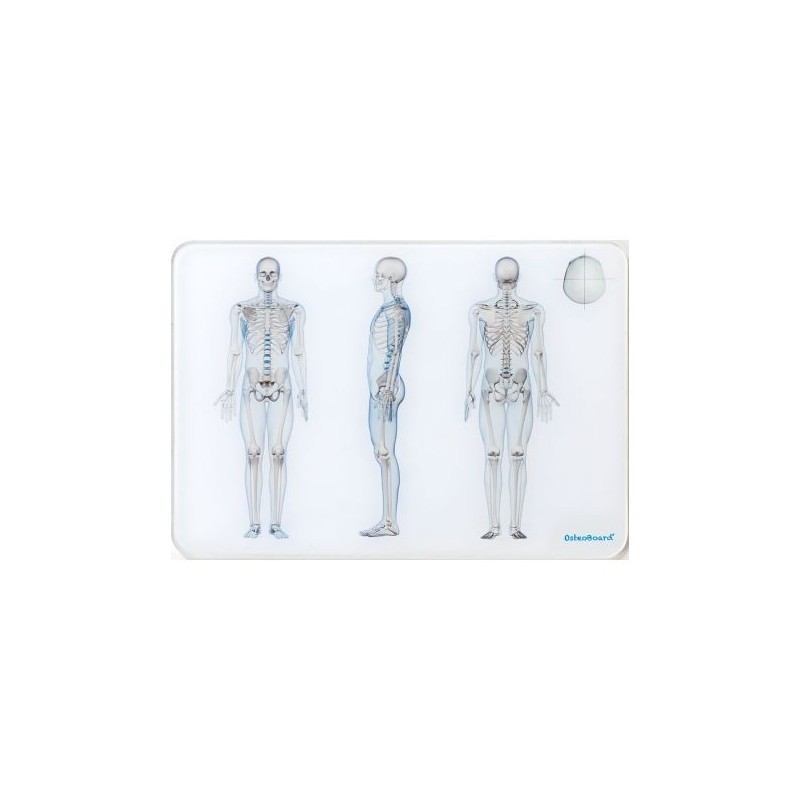 OsteoBoard - Il Corpo Umano -  piccola