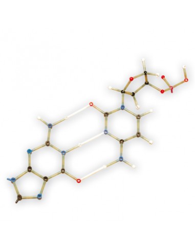 Set di biochimica per studenti, 260,...