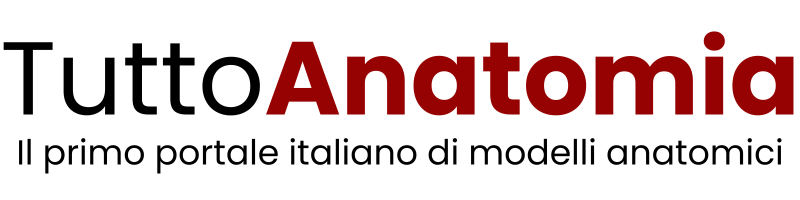 Tuttoanatomia