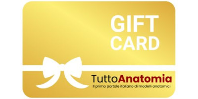 Buono regalo