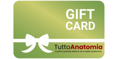 Buono regalo